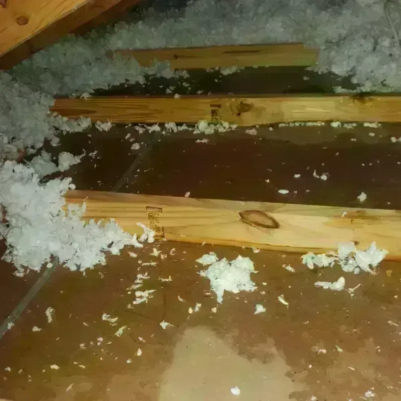 Attic Water Damage in Washington, MO