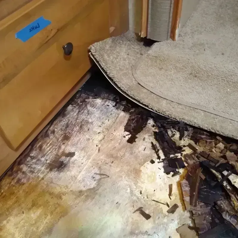 Wood Floor Water Damage in Washington, MO